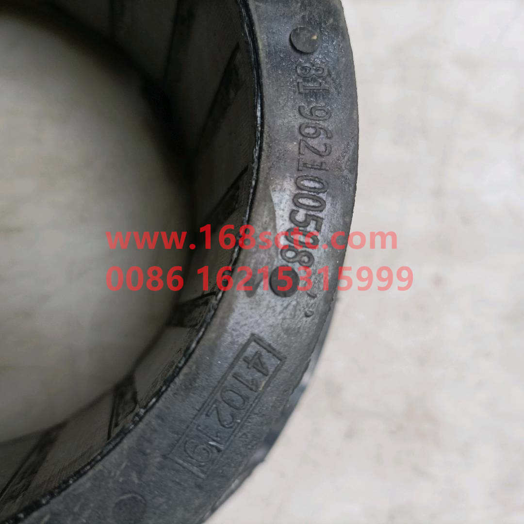 81962100508