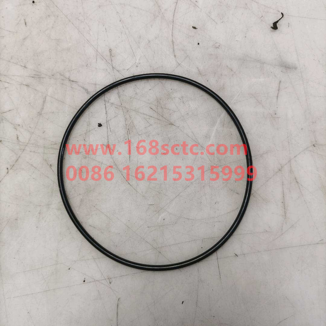 Sealing ring