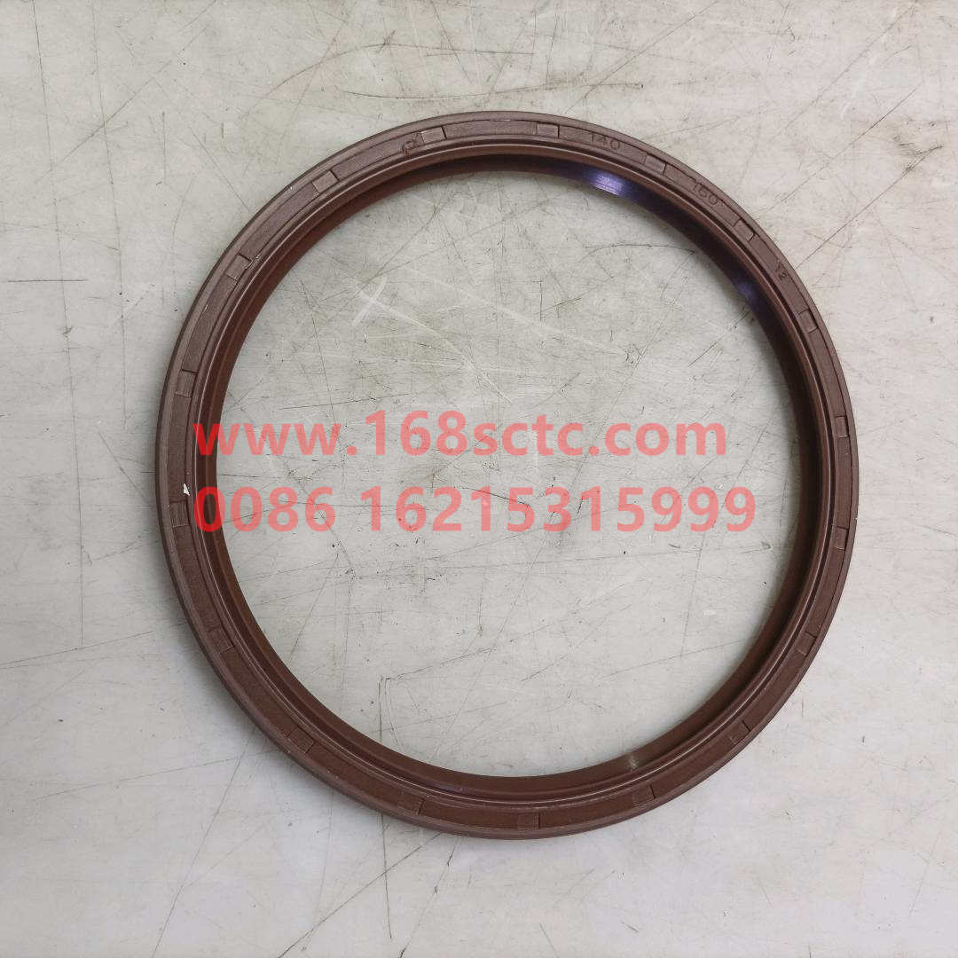 Shaft seal ring
