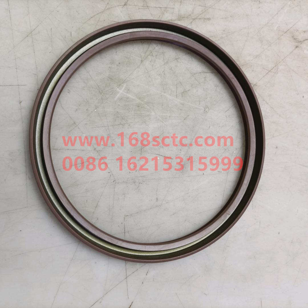 Shaft seal ring