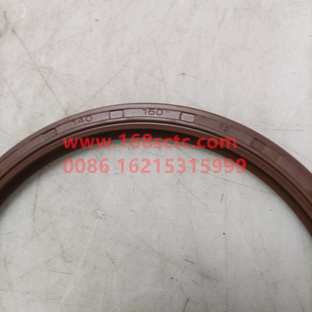 Shaft seal ring