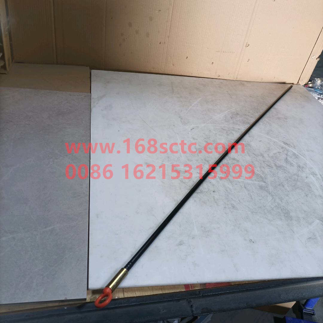 612600012081