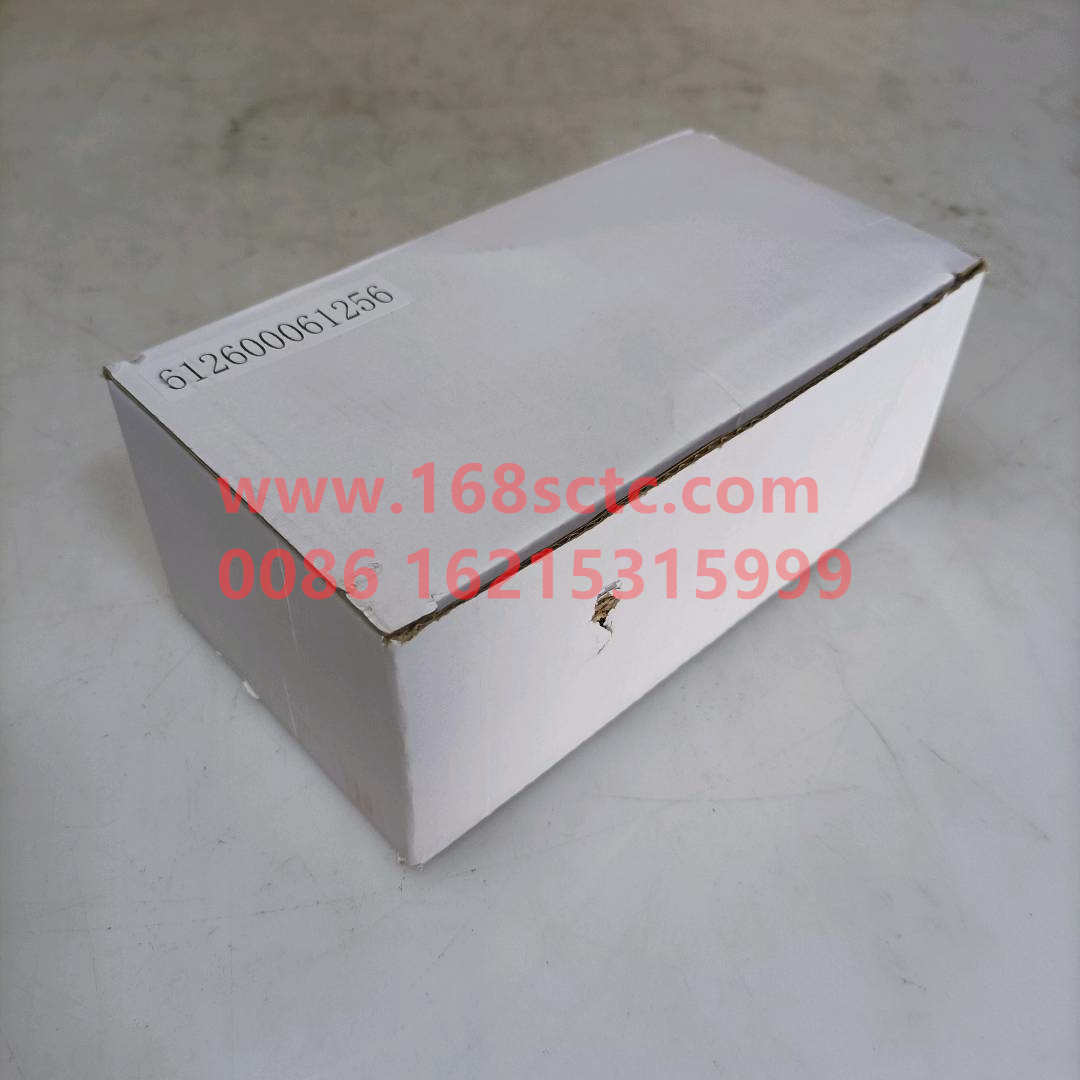 612600061256