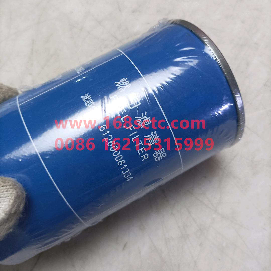 612600081334A