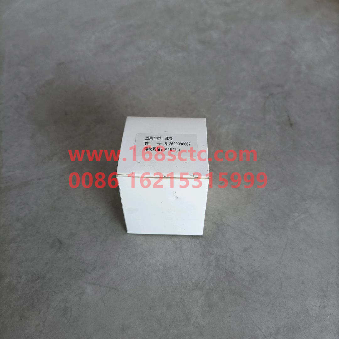 612600090667