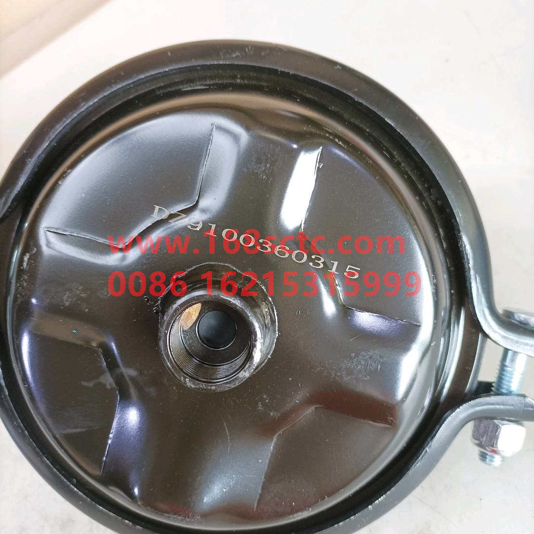 DZ9100360315