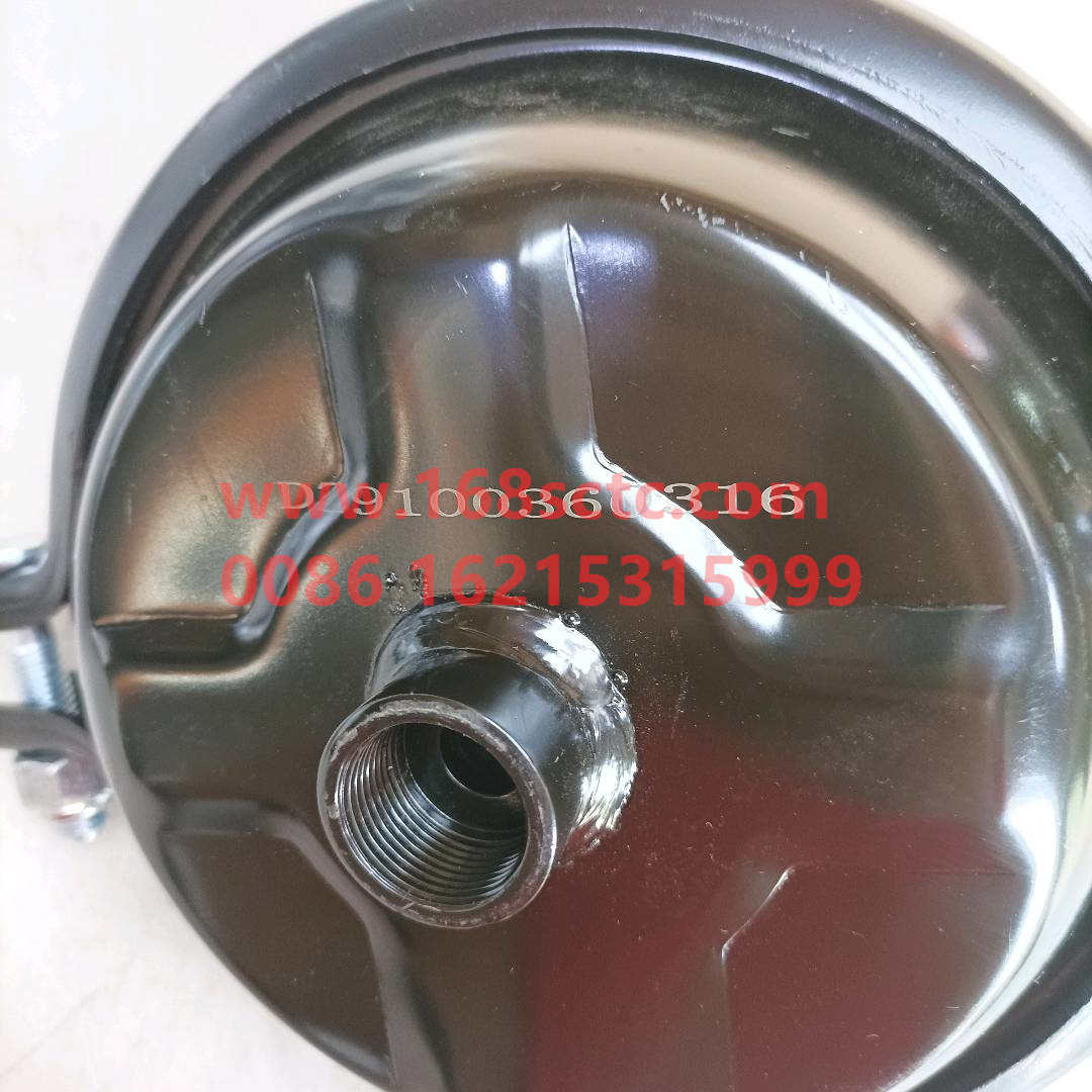 DZ9100360316