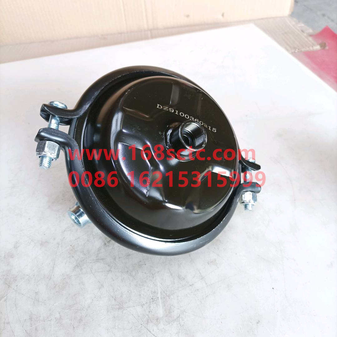 DZ9100360315