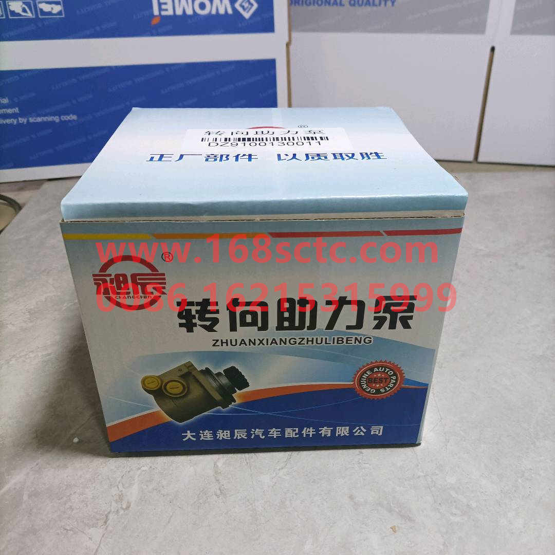 DZ9100130011