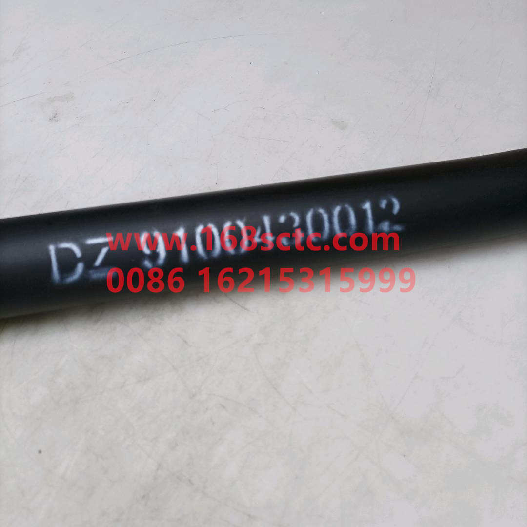DZ9100430012