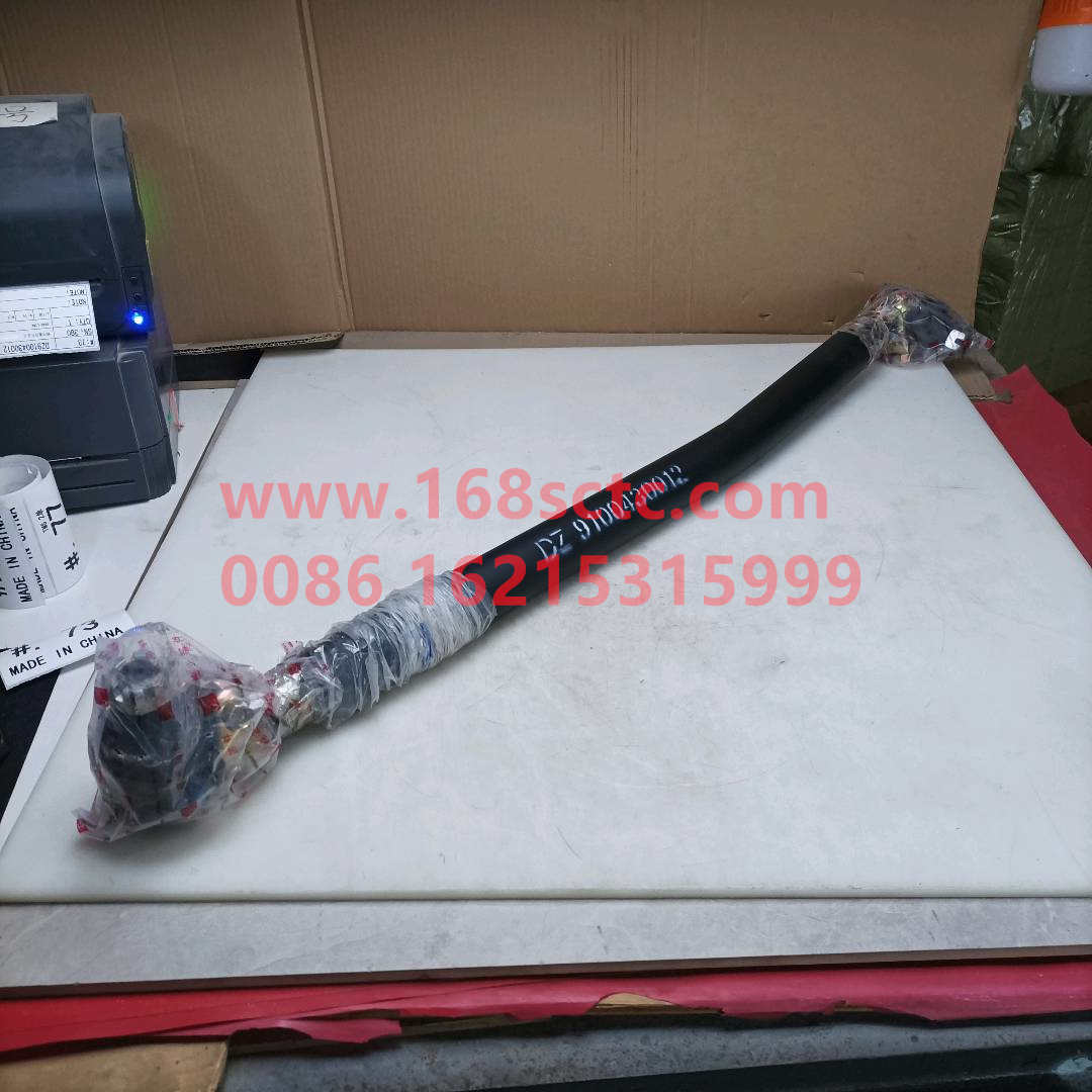 DZ9100430012