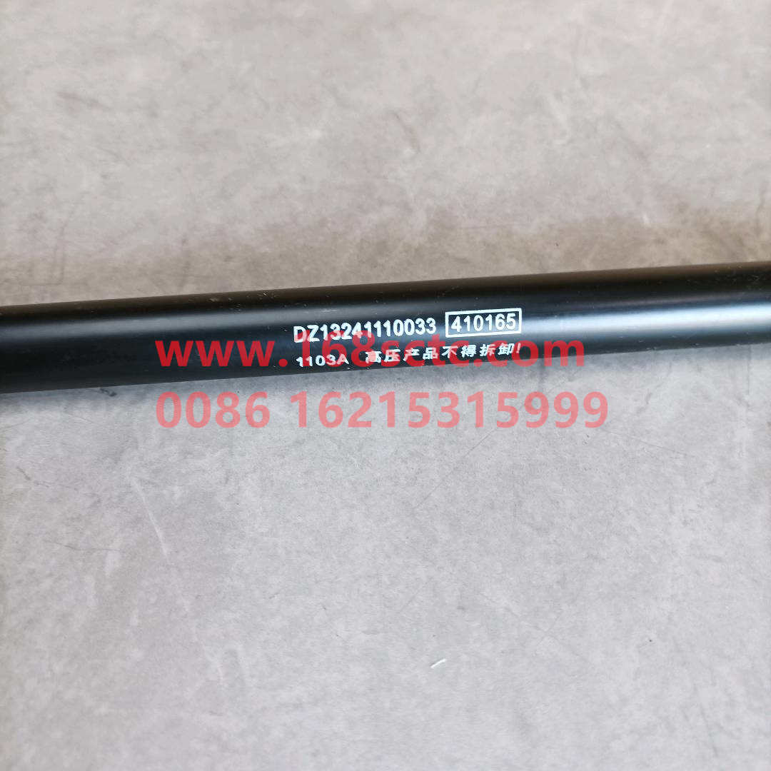 DZ13241110033