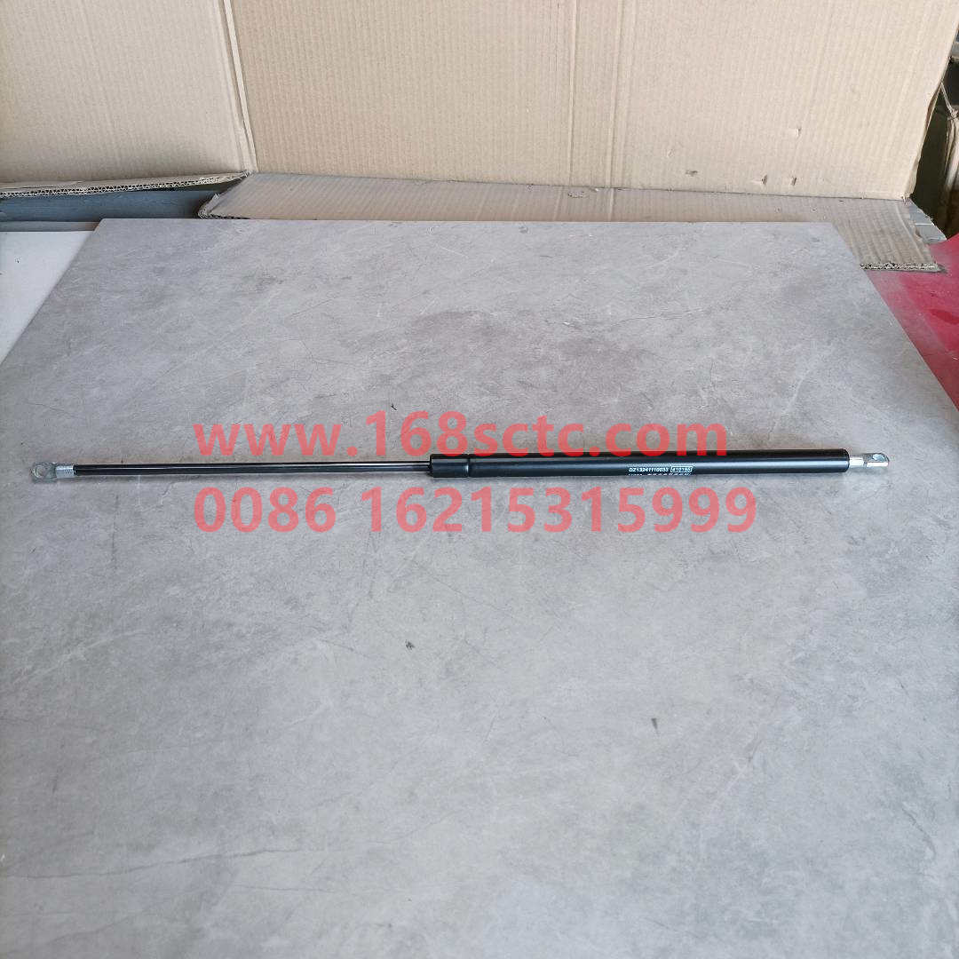 DZ13241110033