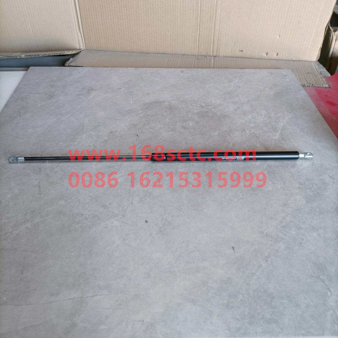 DZ13241110033