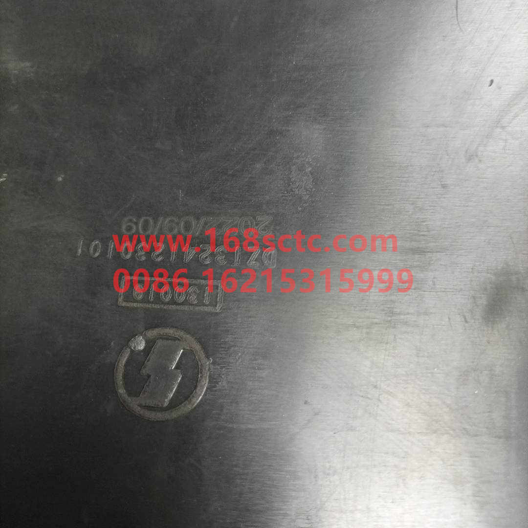 DZ13241230101