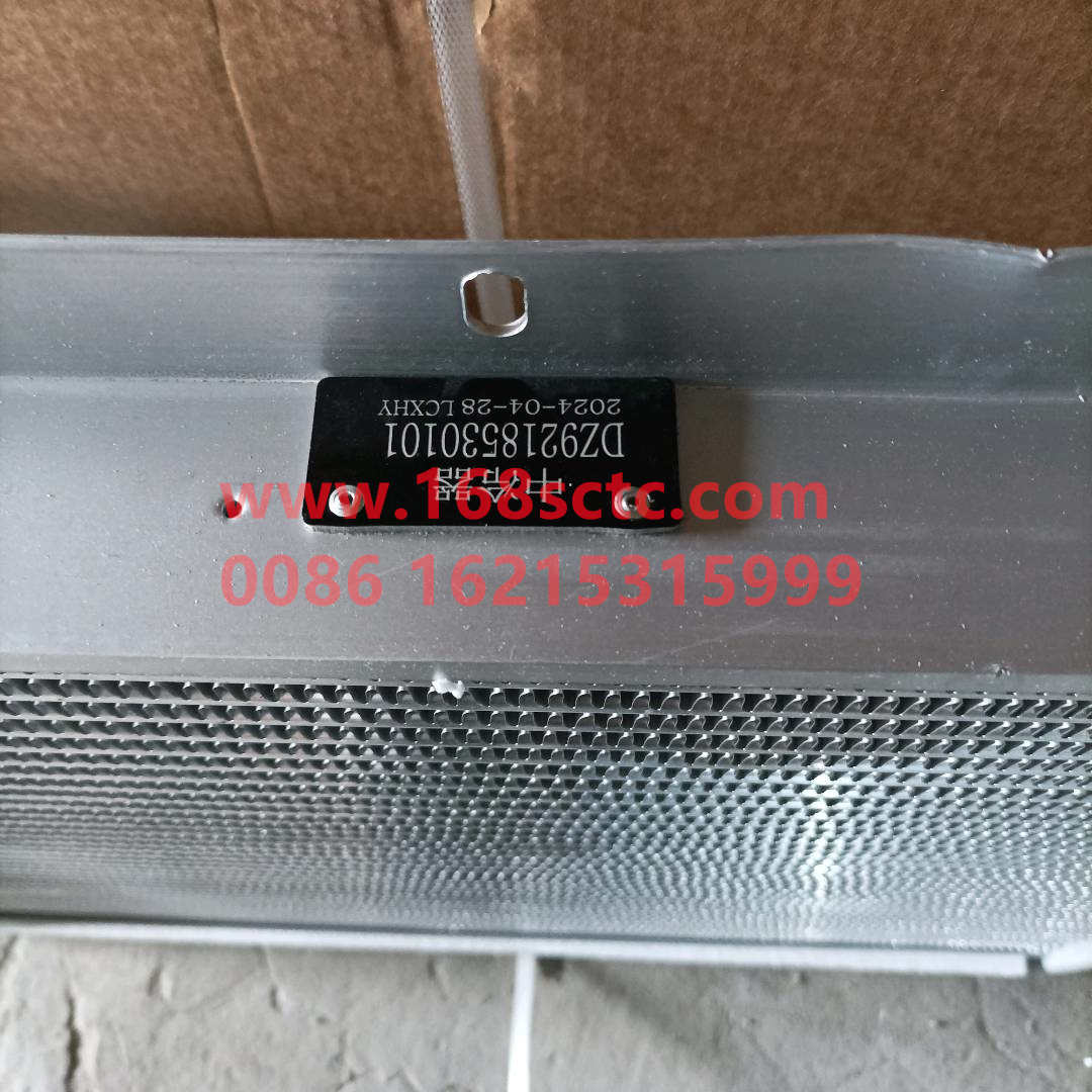 DZ9218530101