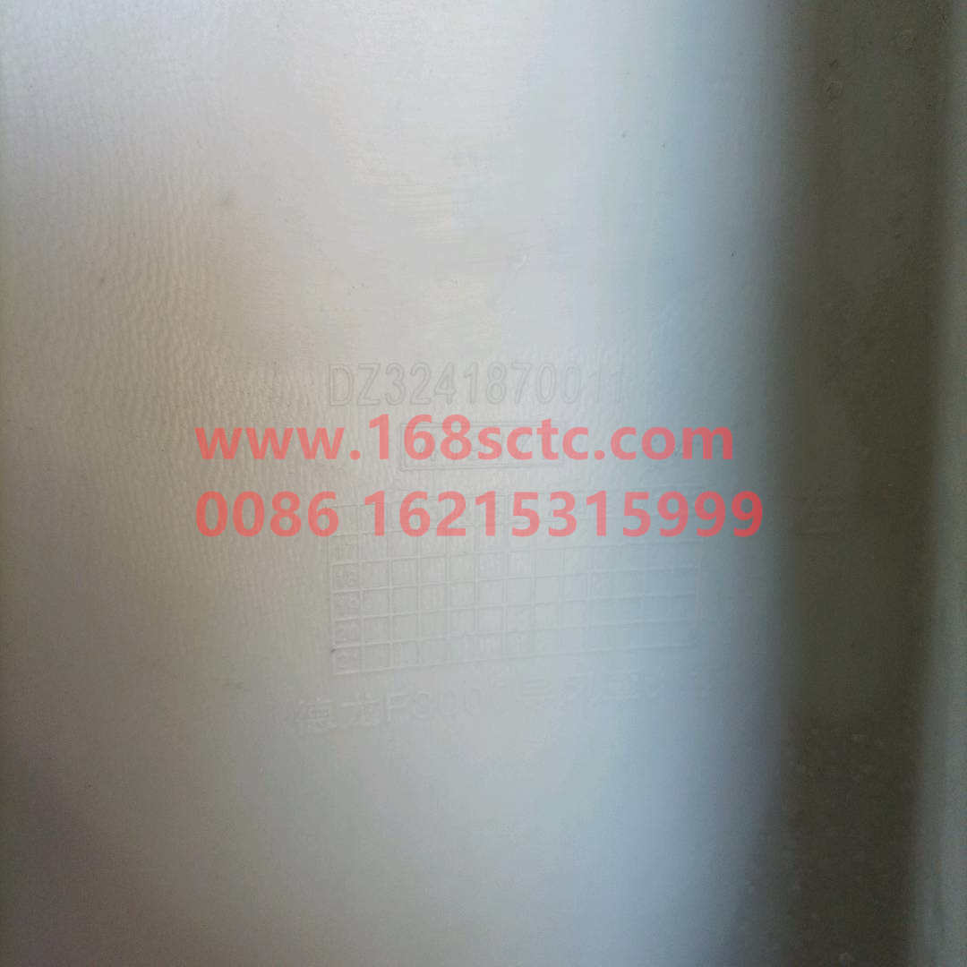 DZ13241870011