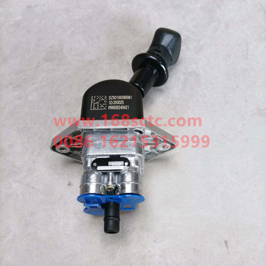DZ93189360061