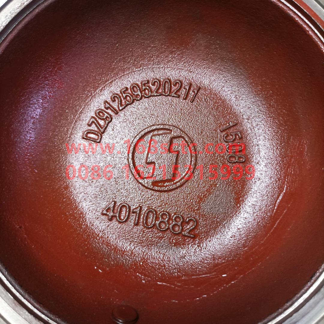 DZ91259520212