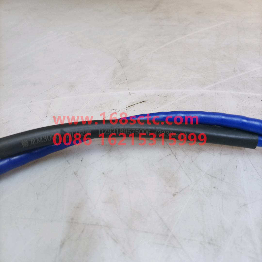 DZ93189575006