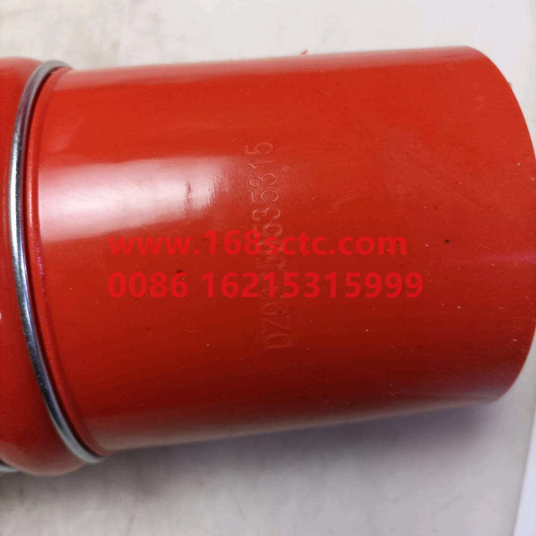 DZ93259535315