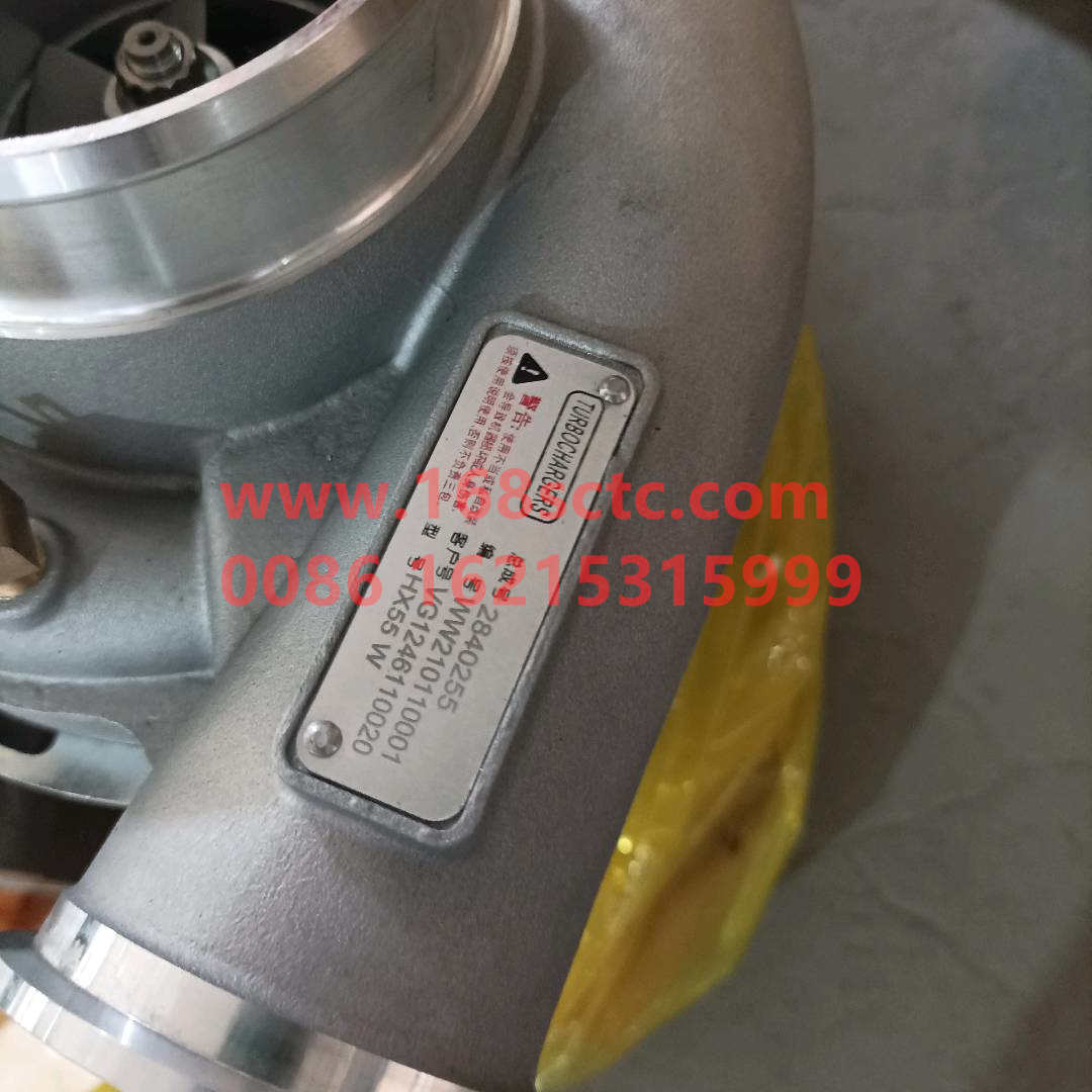 VG1246110020