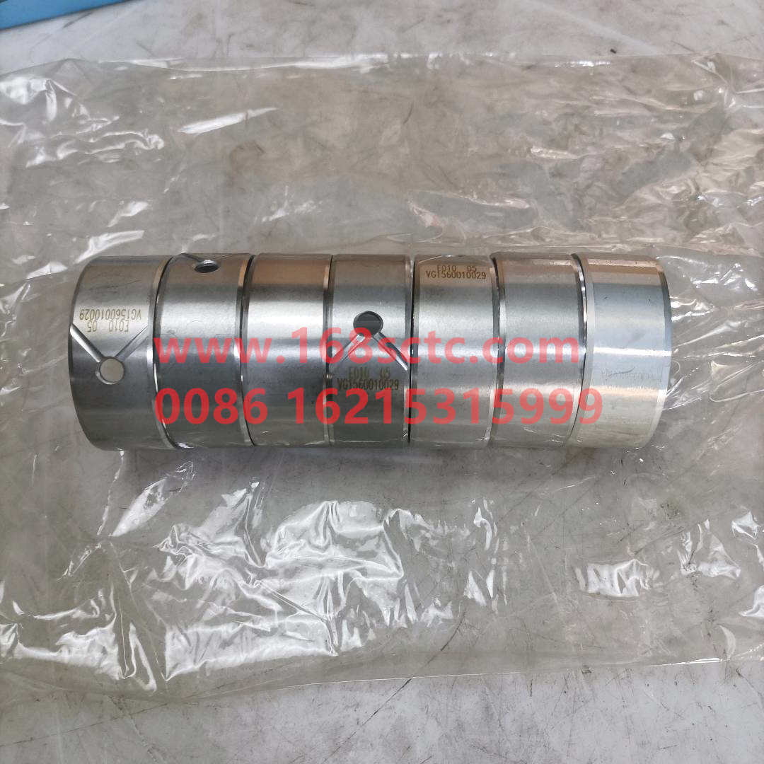 VG1560010029*