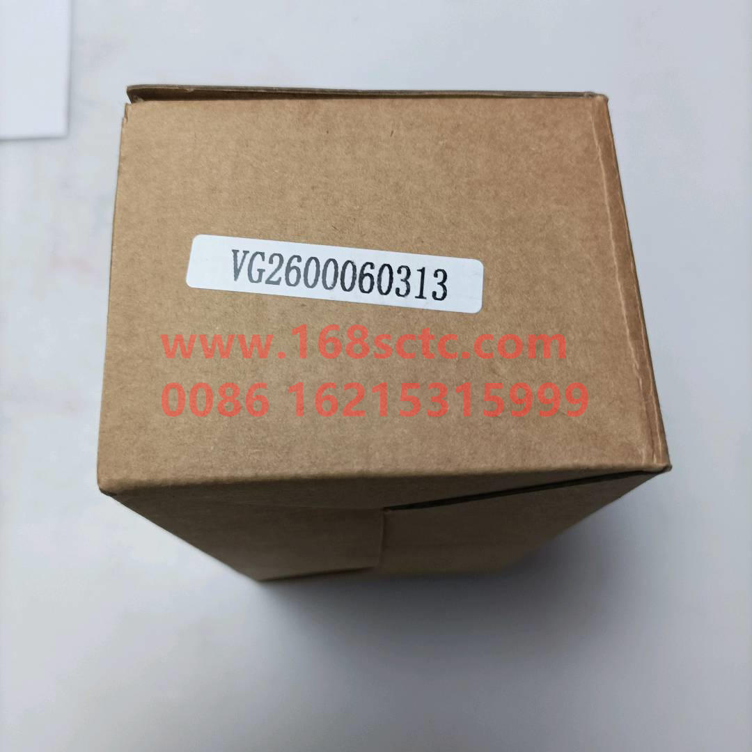 VG2600060313