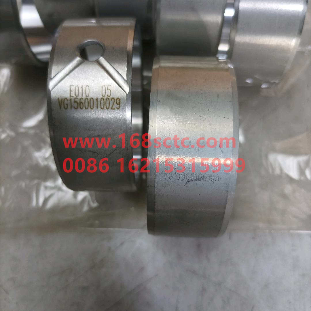 VG1560010029*