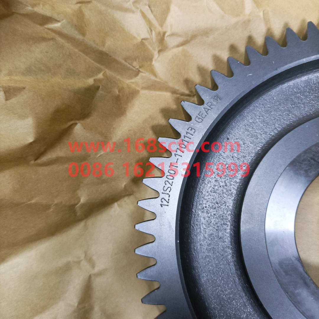 12JS160T-1701113