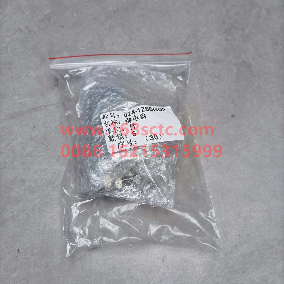 024-1Z6SGD2