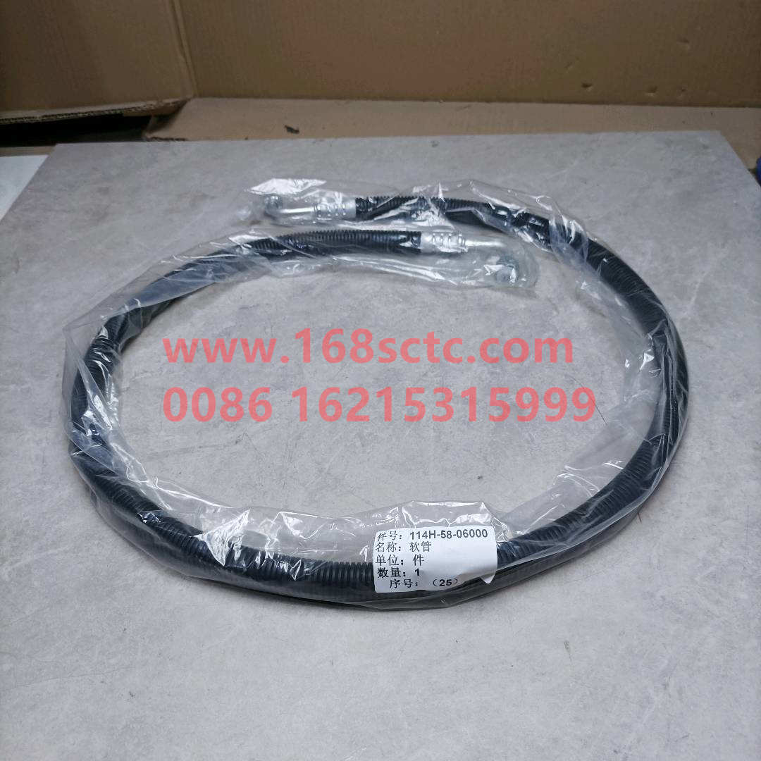 114H-58-06000