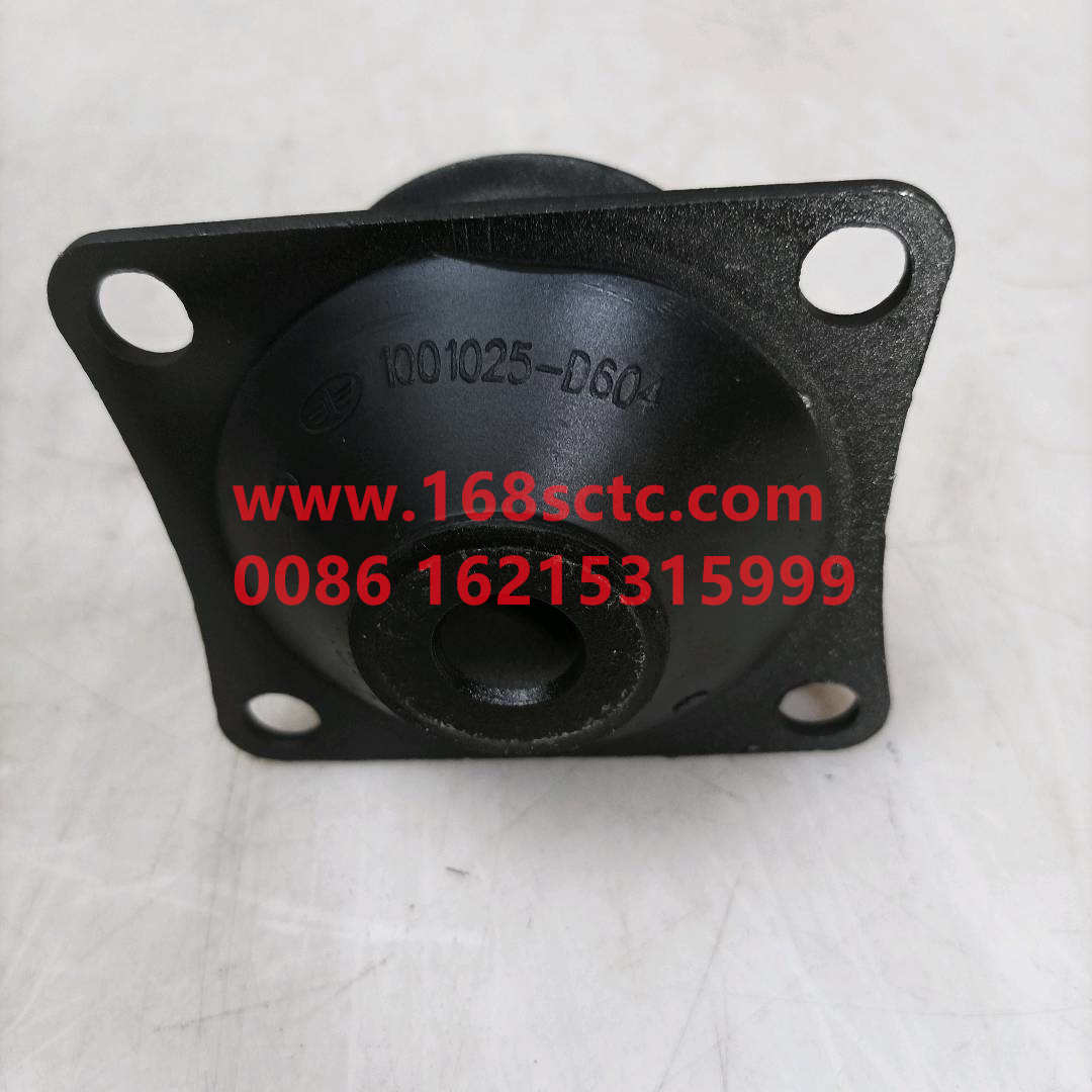 1001025A1-D604