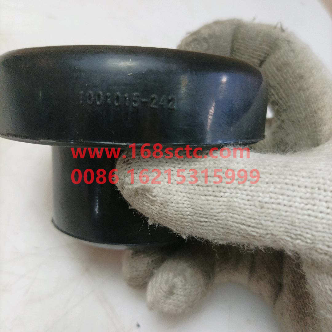 1001015-242