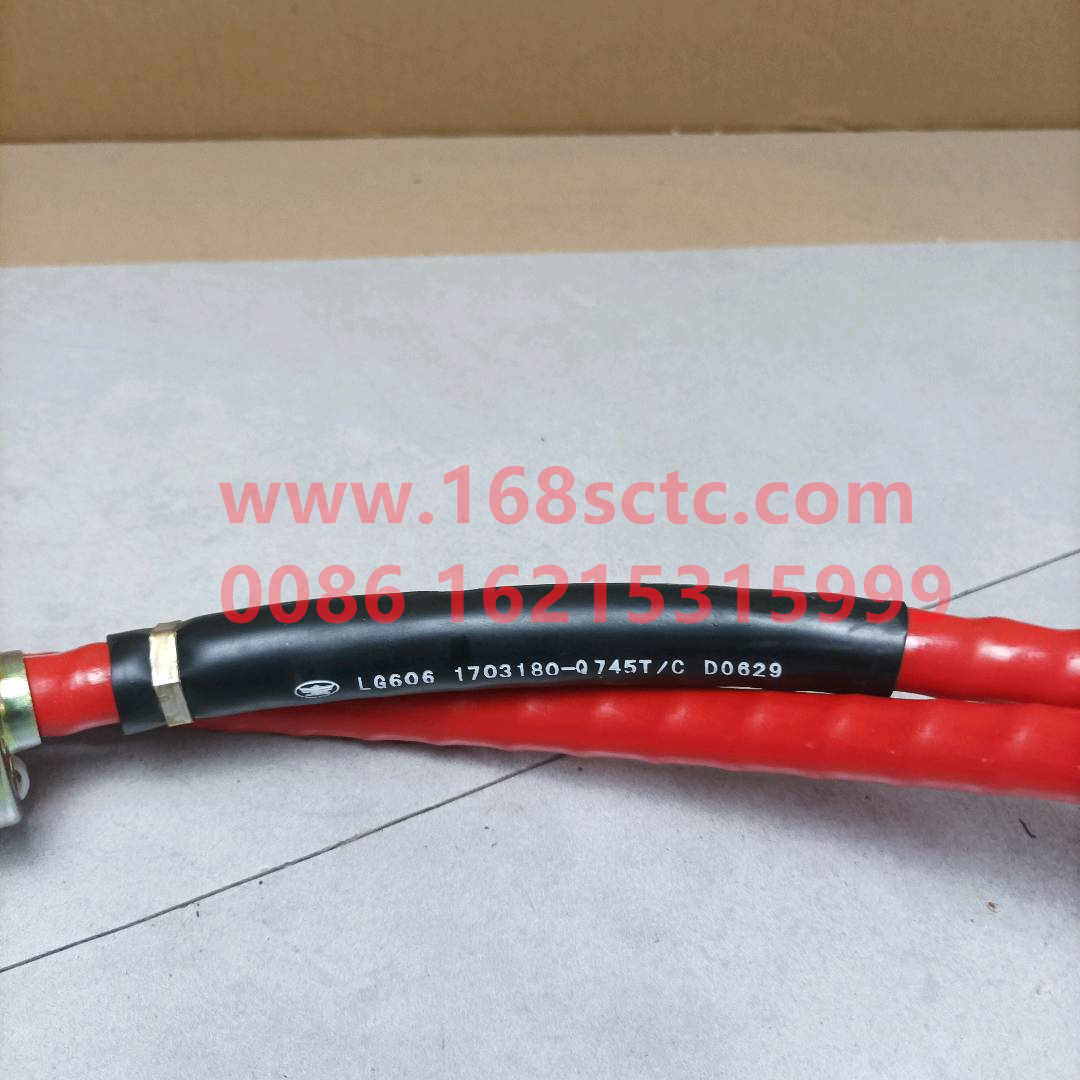 1703180-Q745T