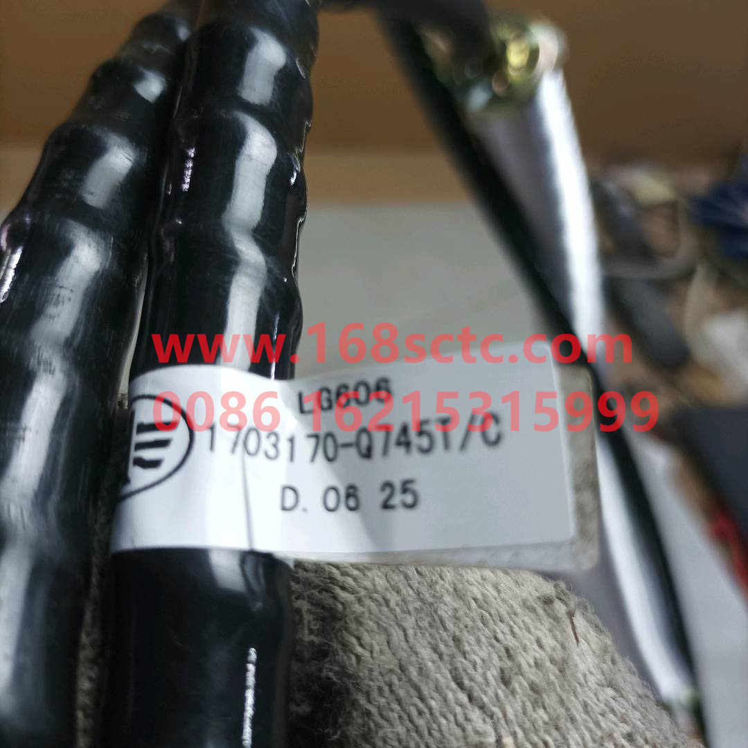 1703170-Q745T