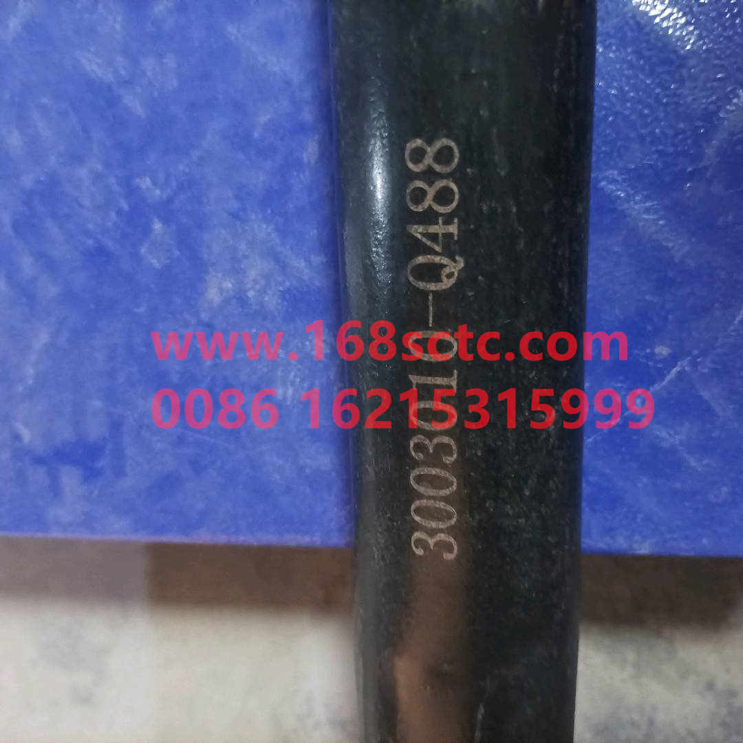3003010-Q488