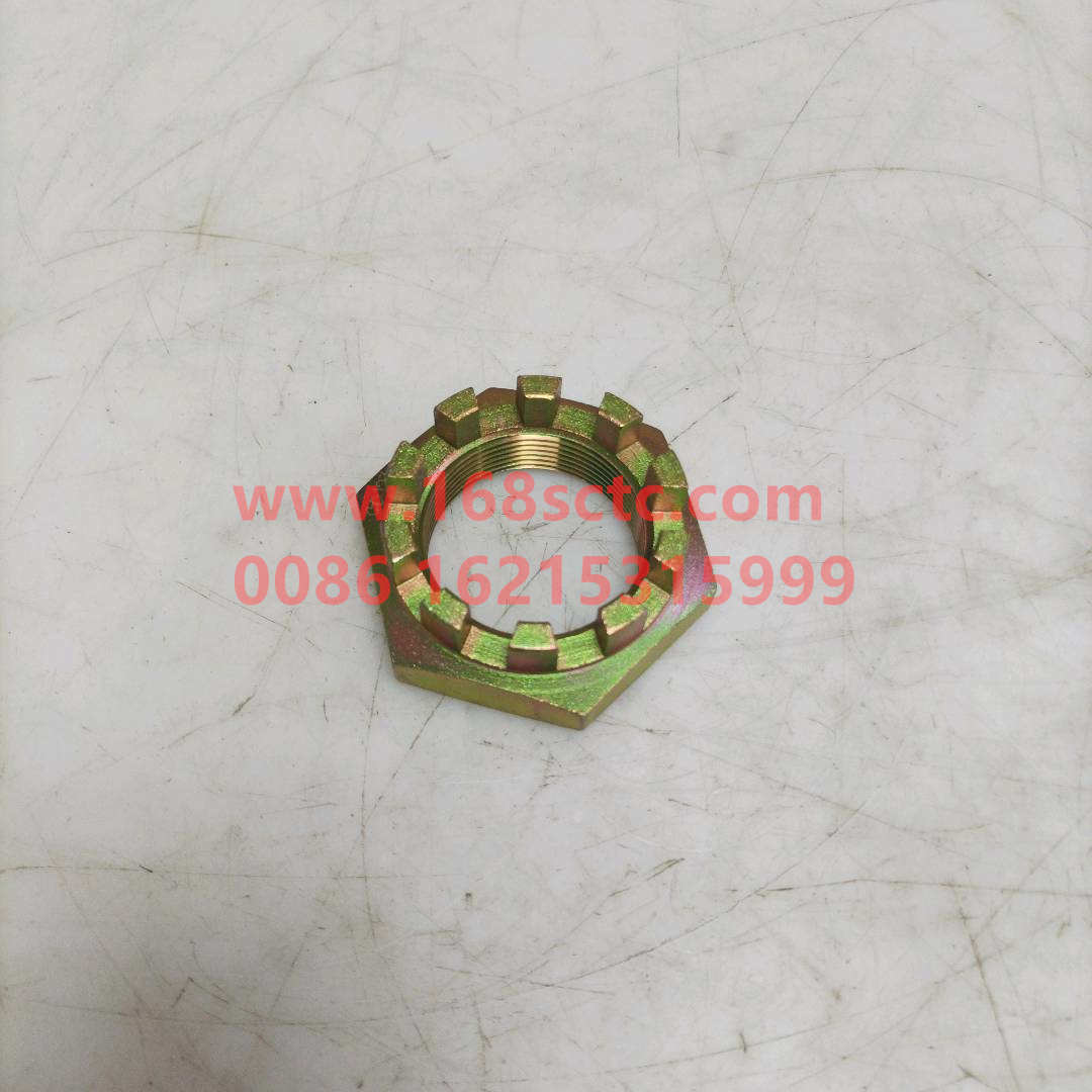 3001066-D816