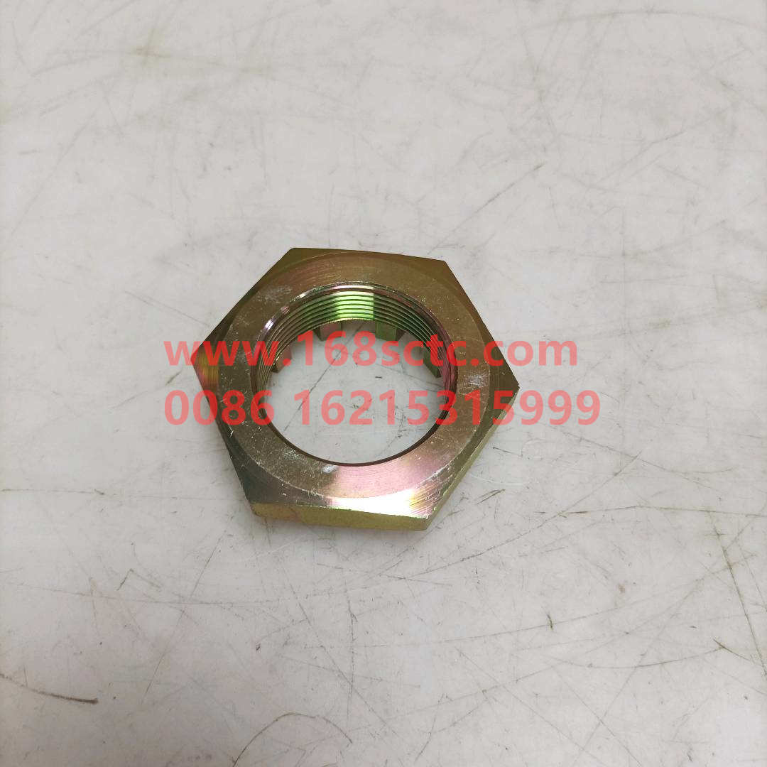 3001066-D816