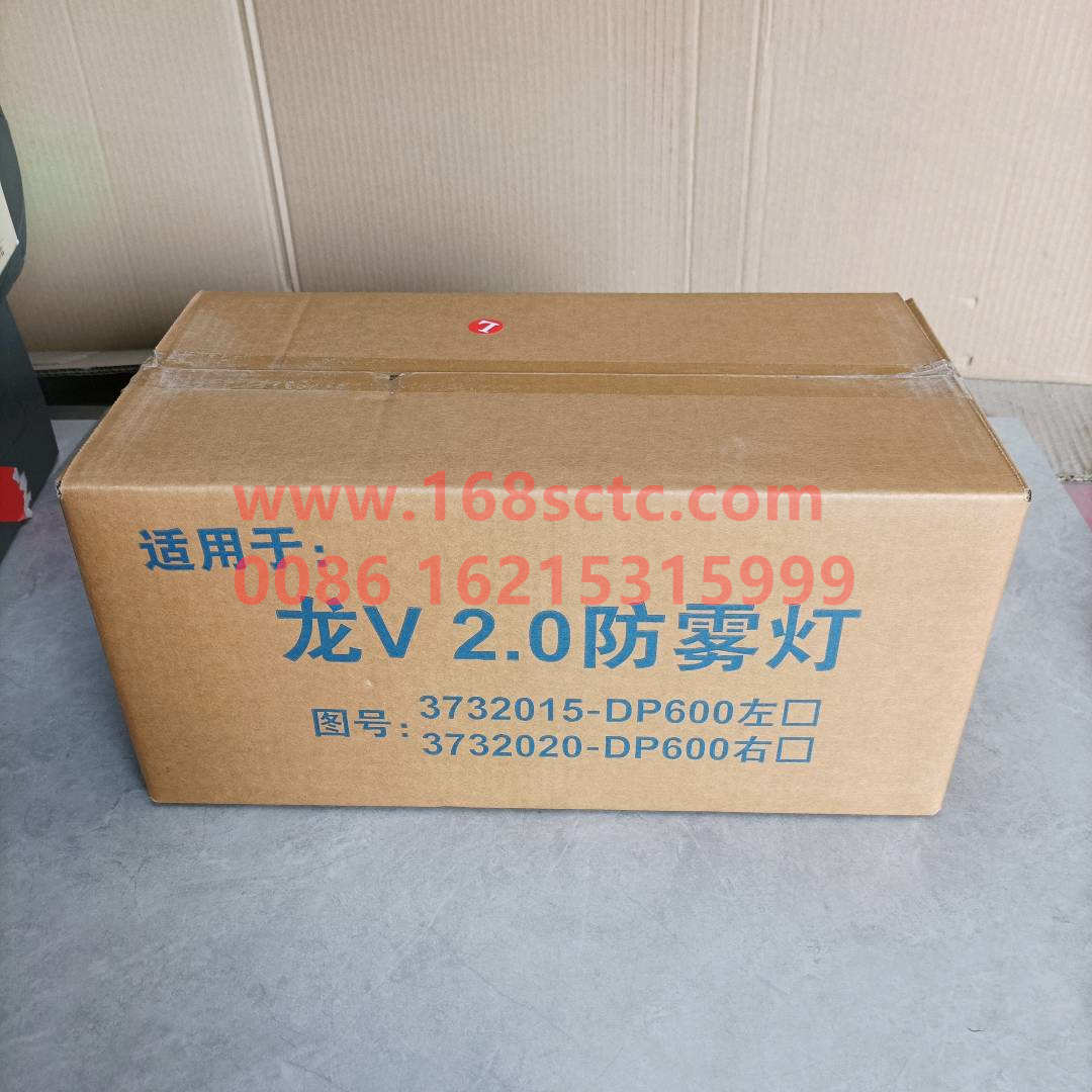 3732015-DP600