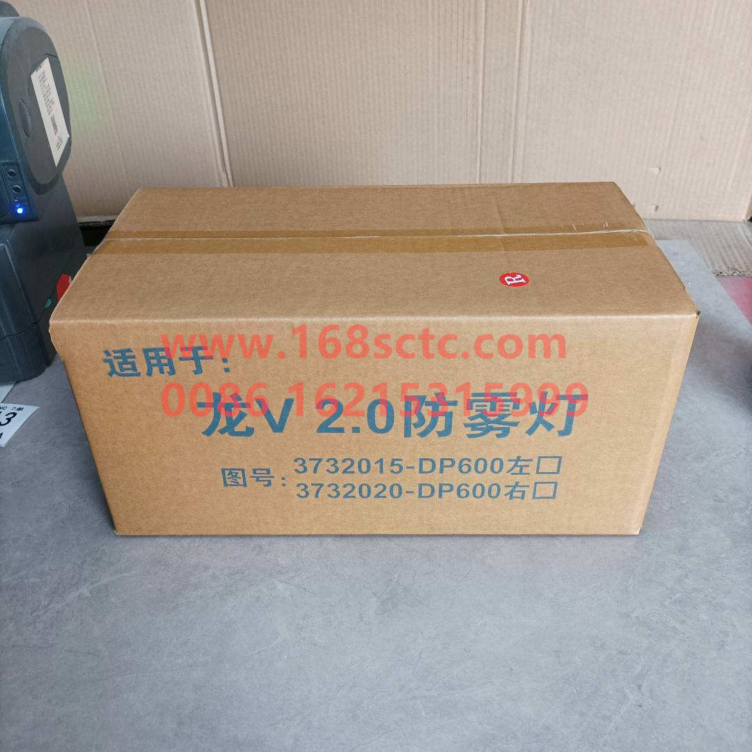 3732020-DP600