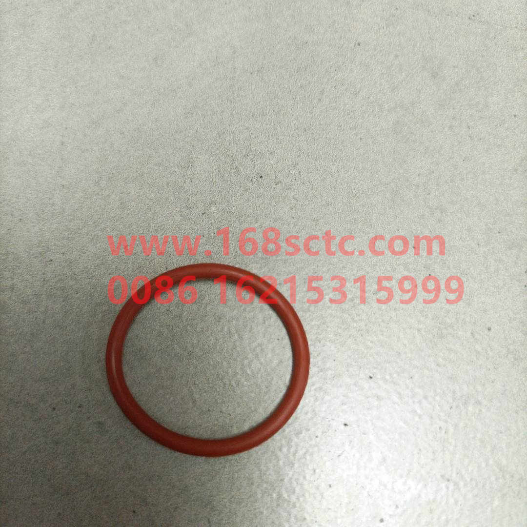 61000010134