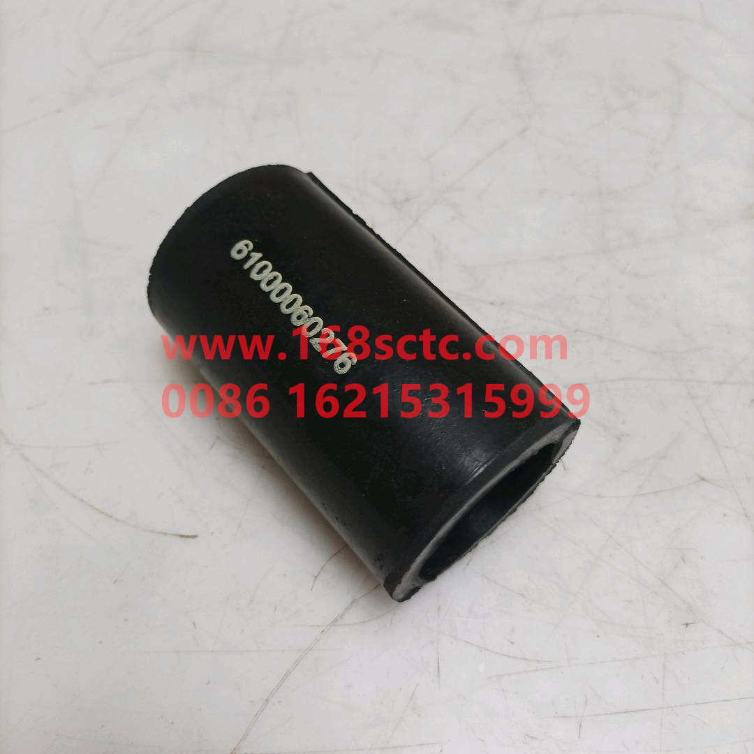 61000060276