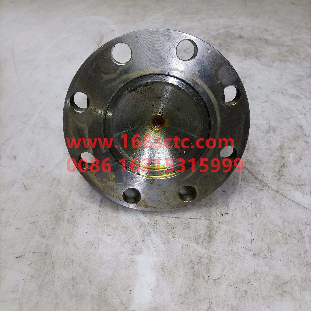 TZ_Drive shaft connecting plate (same as 1491707-2201062)