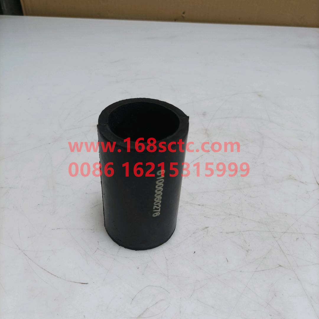 61000060276