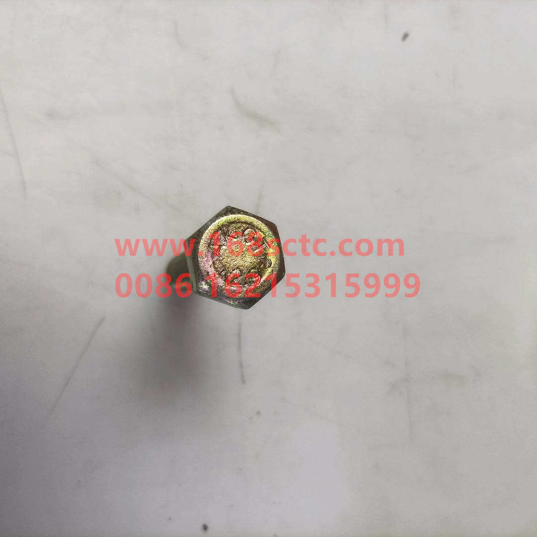 61500010062