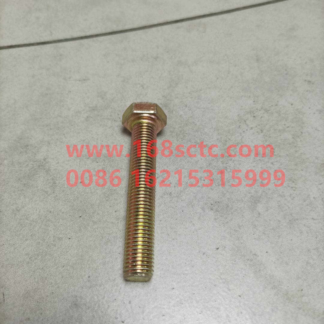 61500010062