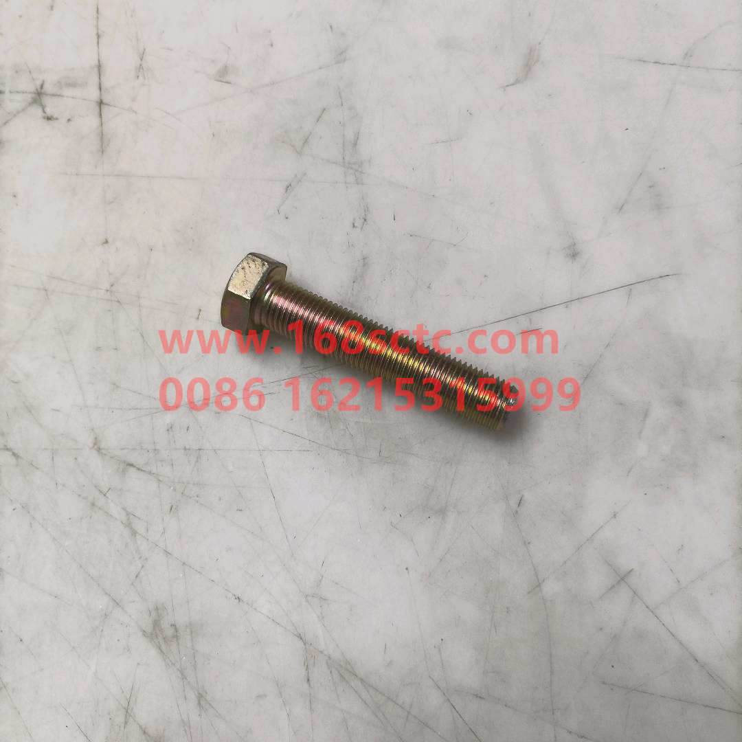 61500010062