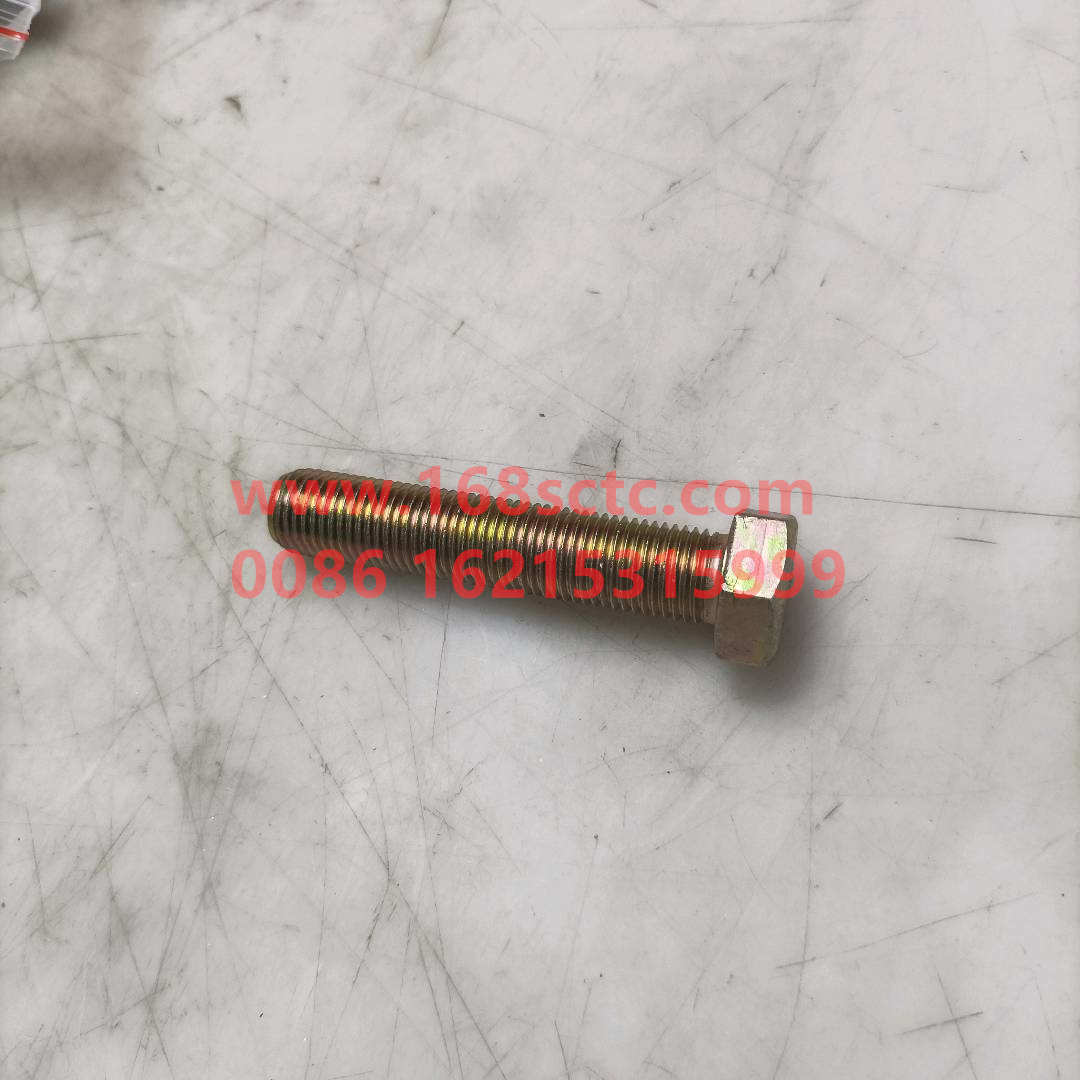 61500010062