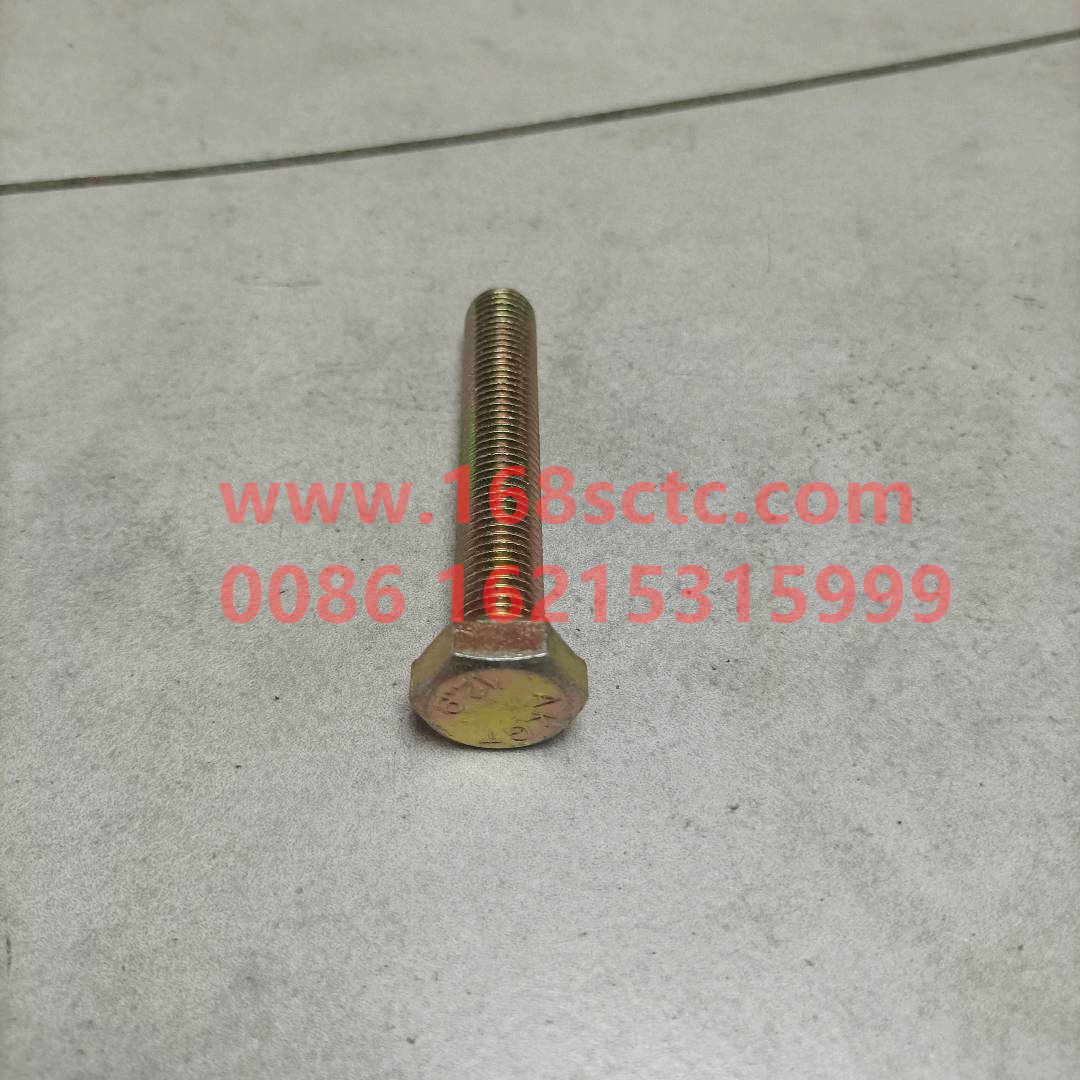 61500010062